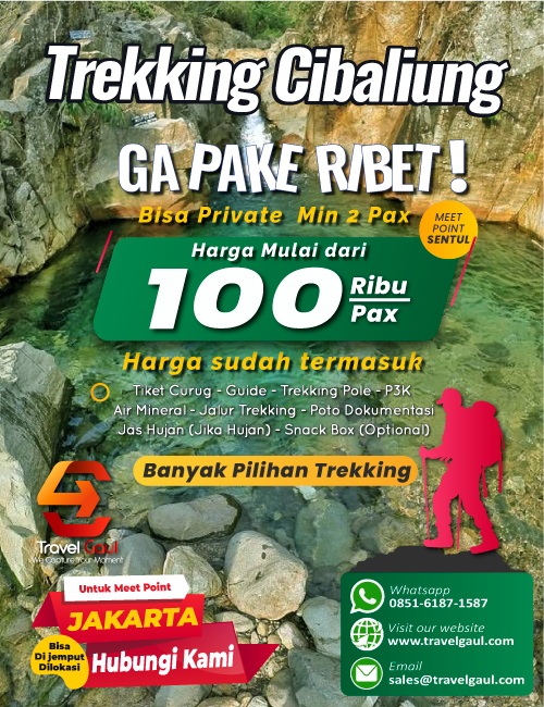 Our Services
